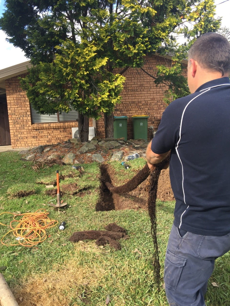 Plumber removing tree roots from a blocked drain - Central Coast